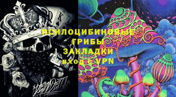 соль ск Абаза
