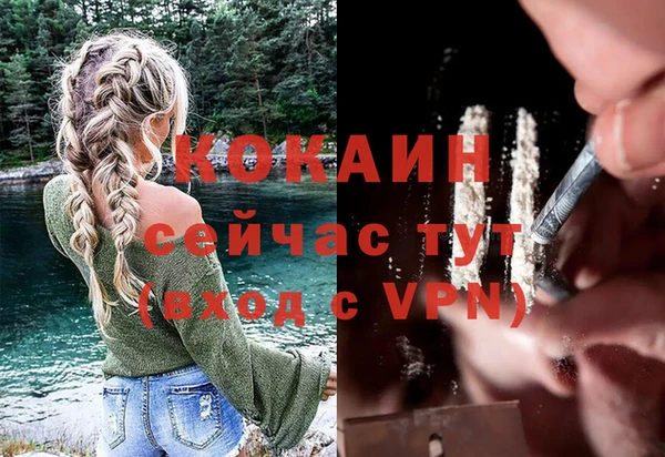соль ск Абаза